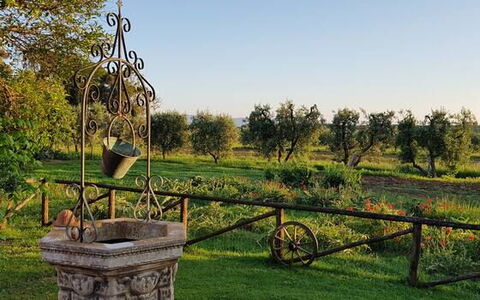Suite Orchidea Seaside and Pool: Einfach, Garten, Park, Rasen, Garten, Landscaping, Plantage, Botanischer Garten, Bauernhof, Hinterhof