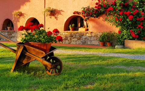Appartamento Lavanda Seaside and Pool: Garten, Landscaping, Garten, Blumentopf, Hinterhof, Hazienda, Zimmerpflanze
