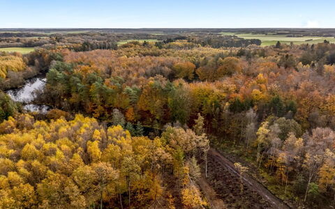 Kerrin: Möbel, Gartenmöbel, Geschirr, Tabelle, Drinkware, Stuhl, Tisch Im Freien, Essen, Flasche