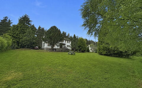 Greenaway: Baum, Landschaft, Grundstueck, Rasen, Garten, Lärche, Wiese, Weide, Landscaping, Estate