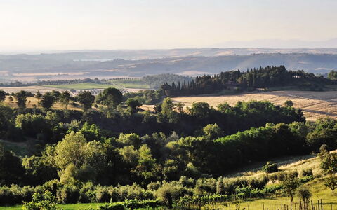 Casale Il Rondò, Private Pool, Città della Pieve: Baum, Natürlichen Umgebung, Grün, Natürliche Landschaft, Vegetation, Hügel, Ökoregion, Wiese, Landschaft, Einfach