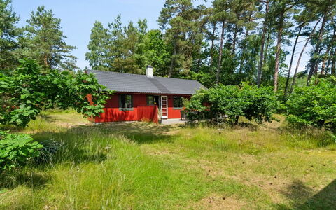 Wale - 100M from the Sea: Holz, Möbel, Wohnung, Zimmer, Decke, Holzbeize, Stuhl, Hartholz, Lack, Holz