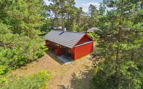 Wale - 100M from the Sea: Holz, Möbel, Wohnung, Zimmer, Decke, Holzbeize, Stuhl, Hartholz, Lack, Holz