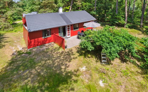 Wale - 100M from the Sea: Holz, Möbel, Wohnung, Zimmer, Decke, Holzbeize, Stuhl, Hartholz, Lack, Holz