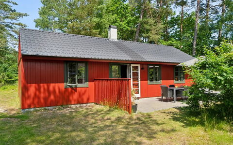 Wale - 100M from the Sea: Holz, Möbel, Wohnung, Zimmer, Decke, Holzbeize, Stuhl, Hartholz, Lack, Holz