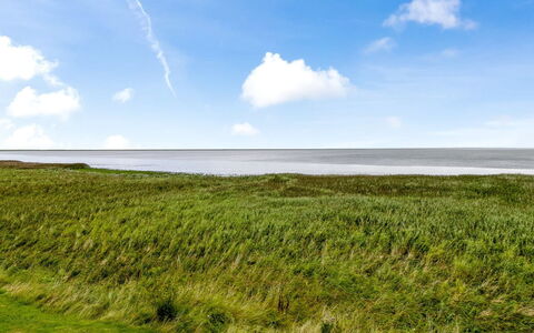 Auwe - 3.5Km from the Sea: Möbel, Holz, Interior Design, Flooring, Fussboden, Stuhl, Zimmer, Decke, Wohnzimmer, Wohnung