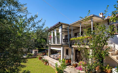 Mrak: Wohngebiet, Zuhause, Tür, Balkon, Veranda, Schatten, Blumentopf, Estate, Garten, Zimmerpflanze