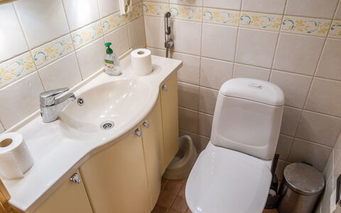 Tahkon Polar: Bad Sink, Badezimmer, Armatur, Sinken, Toilleten Sitz, Toilette, Zapfhahn, Interior Design, Installation, Fussboden