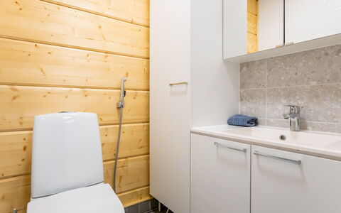 Joutsenranta: Flooring, Toilleten Sitz, Armatur, Badezimmer, Toilette, Bad Sink, Fussboden, Holz, Sinken, Badezimmerschrank