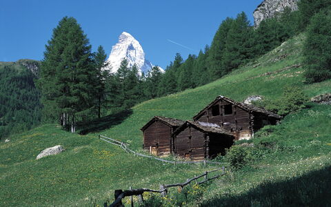 Zermatt 310: Estate, Landscaping, Villa, Hecke, Balkon