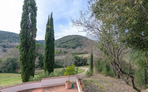 La Valle: Blatt, Strauch, Garten, Landscaping, Immergrün, Pine Familie, Lärche