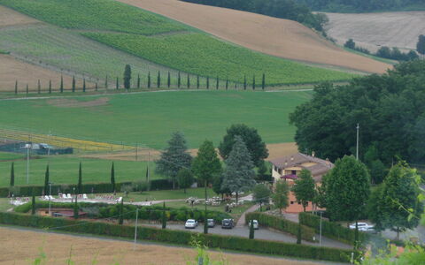 Tenuta Borgo al Sole: Ländliches Gebiet, Plantage, Feld, Landwirtschaft, Dorf, Bauernhof, Landscaping, Immergrün