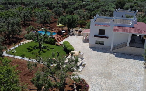 Villa Antony: Zuhause, Estate, Garten, Hazienda, Landscaping, Garten, Villa, Villa, Auffahrt, Schatten