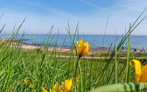 Juna - 50M from the Sea: Blau, Hütte, Haus, Zuhause, Bauernhaus, Estate, Abstellgleis