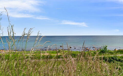 Yosefin - 50M from the Sea: Gras, Wiese, Grundstueck, Hütte, Ländliches Gebiet, Wiese, Gartenbauten, Garten, Schuppen
