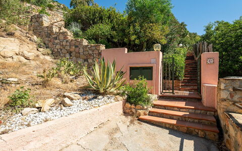 Pellicano: Strauch, \Fels, Pflanzengemeinschaft, Garten, Landscaping, Blumentopf, Flagstone, Treppe, Steinwand