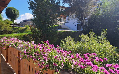 Weißbacher: Blume, Strauch, Rosa, Garten, Lila, Frühling, Blühende Pflanze, Ground, Blütenblatt