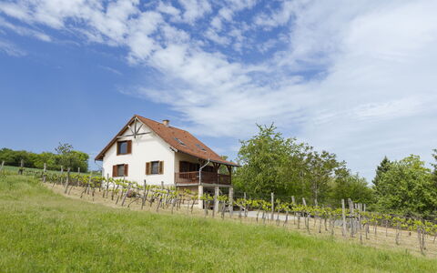 Pax: Gras, Haus, Ländliches Gebiet, Hütte, Dach, Zuhause, Landschaft, Einfach, Grundstueck