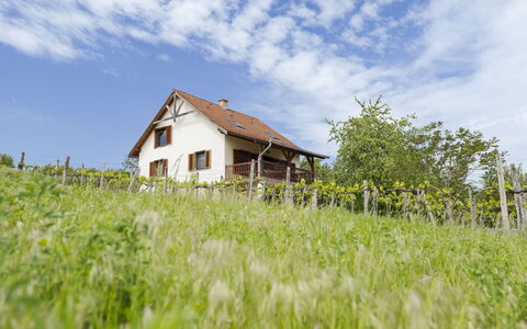 Pax: Gras, Haus, Ländliches Gebiet, Hütte, Dach, Zuhause, Landschaft, Einfach, Grundstueck
