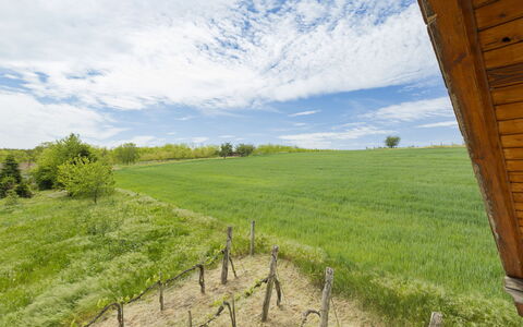 Pax: Gras, Haus, Ländliches Gebiet, Hütte, Dach, Zuhause, Landschaft, Einfach, Grundstueck