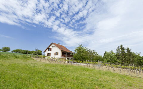 Pax: Gras, Haus, Ländliches Gebiet, Hütte, Dach, Zuhause, Landschaft, Einfach, Grundstueck