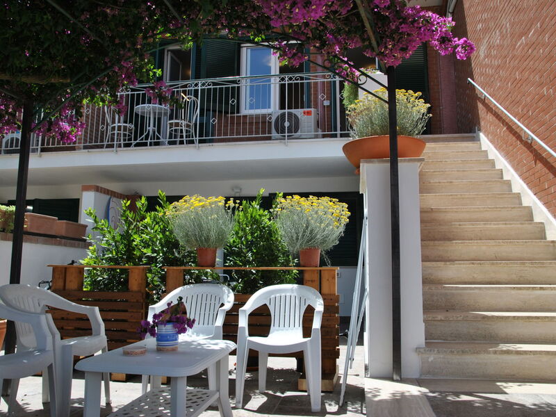 Bouganville
