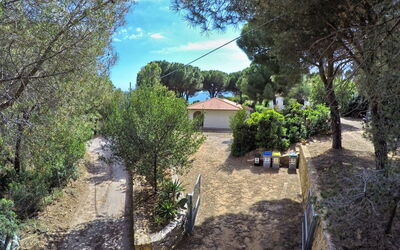 Capoliveri 860: Baum, Blatt, Strauch, Garten, Landscaping, Schatten, Estate, Auffahrt, Hinterhof