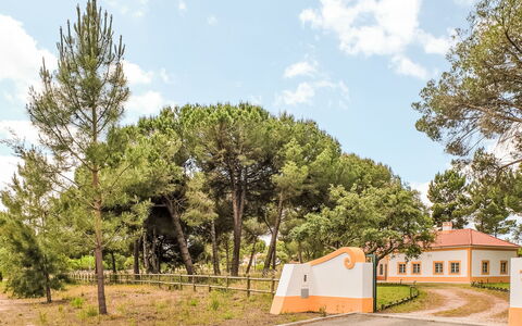 Villa Dos Sobreiros: Baum, Blatt, Ast, Landschaft, Grundstueck, Einfach, Boden, Schatten, Landscaping