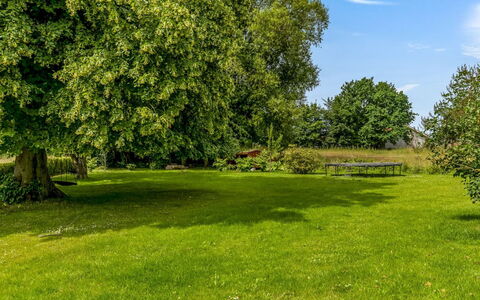 Edla - 5Km from the Sea: Blau, Grün, Daytime, Baum, Gras, Blatt, Natürlichen Umgebung, Natur, Ast, Wiese