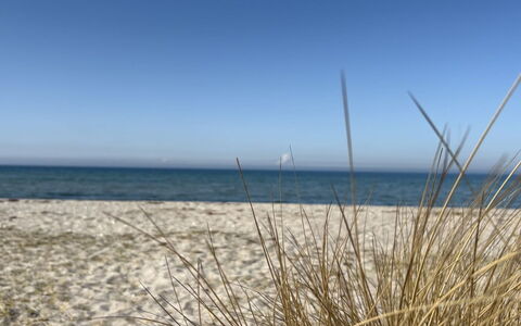 Holmfridur - 1.1Km from the Sea: Blau, Horizont, Strand, Küste, Meer, Ökoregion, Küsten Und Ozeanische Forms, Ufer, Sand
