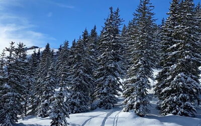 Alpinresort Kaprun Top 2