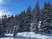 Alpinresort Kaprun Top 1