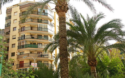 Calpe Calp 390: Pflanze, Gebäude, Eigentum, Fenster, Himmel, Baum, Terrestrische Plant, Arecales, Vegetation, Haus