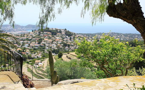 Baile del Sol: Vegetation, Baum, \Fels, Formation, Botanik, Himmel, Pflanzengemeinschaft, Pflanze, Landschaft, Anpassung
