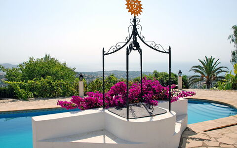 Baile del Sol: Blumentopf, Urlaub, Blume, Botanik, Pflanze, Freizeit, Baum, Tourismus, Zimmerpflanze, Garten