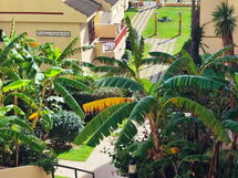 Casa Linda Vor Dem Strand , Pool, Padel