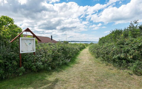 Filisha - 200M from the Sea: Strauch, Ländliches Gebiet, Ground, Plantage, Garten, Feld, Hecke, Bauernhof, Landwirtschaft, Weg