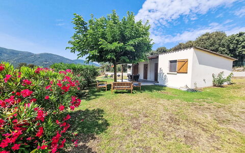 Calcatoggio 600: Strauch, Ländliches Gebiet, Hütte, Garten, Dorf, Bauernhaus