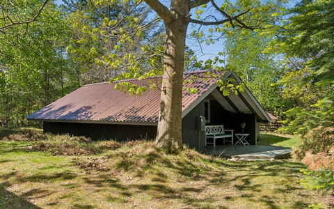Elfrede - 900M from the Sea: 