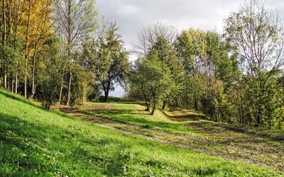 Green Valley Park Stárkov 15