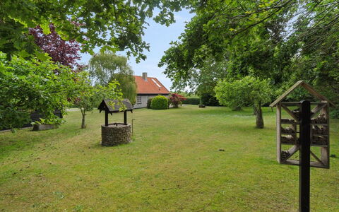 Siegfried - 100M from the Sea: Gras, Wiese, Grundstueck, Hütte, Ländliches Gebiet, Wiese, Gartenbauten, Garten, Schuppen