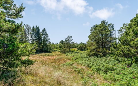 Erle - 990M from the Sea
