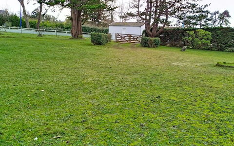 Le Chalet: Gras, Wiese, Rasen, Grundstueck, Einfach, Ground, Garten, Weide, Wiese