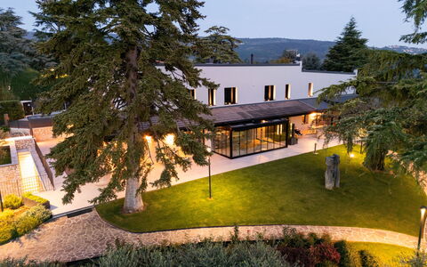 Villa Bocchi: Baum, Schatten, Rasen, Garten, Estate, Garten, Landscaping, Walkway, Park