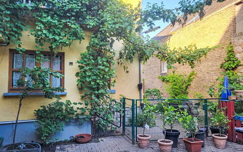 Tinkerhof Stahlhut: Grün, Strauch, Blumentopf, Frühling, Zimmerpflanze, Garten, Garten, Hof, Hinterhof