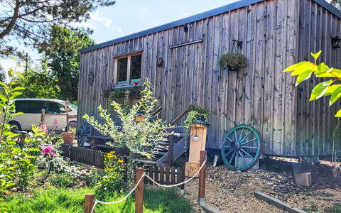 Tiny House Cottage Herbert: Holz, Hütte, Schuppen, Gartenbauten, Tür, Abstellgleis, Hartholz, Holzbeize, Blockhaus, Garten