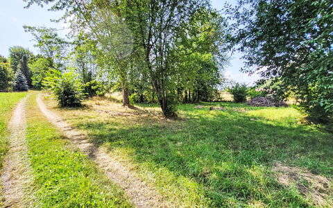 Tiny House Cottage Herbert: Grün, Gras, Blatt, Baum, Vegetation, Natürliche Landschaft, Sommer, Strauch, Wiese, Einfach