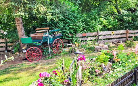 Tiny House Cottage Herbert: Blume, Garten, Strauch, Frühling, Ground, Hinterhof, Landscaping, Garten, Floristik