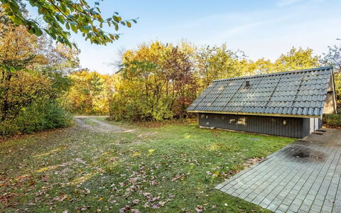 Avni - 30Km from the Sea: Möbel, Gartenmöbel, Geschirr, Tabelle, Drinkware, Stuhl, Tisch Im Freien, Essen, Flasche