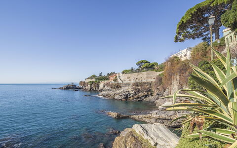 Focaincontromano Seaview, Genova: Blau, Wasser, Gewässer, Küste, Küsten Und Ozeanische Forms, Meer, \Fels, Horizont, Sommer, Landspitze